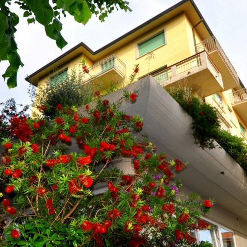 5043 HOTEL SYLVIA LIDO CAMAIORE SOLUTIONHOTEL 1.jpg